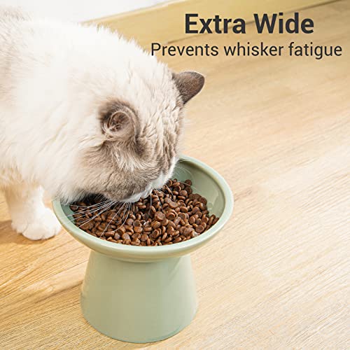 CEEFU Extra Wide Elevated Ceramic Cat Bowl, 6.2" Shallow Dish for Whisker Fatigue Relief, 5" Height for Easy Feeding, Durable Raised 2 Cat Food Bowls, Sage Green - color: Sage Green-2 Food Bowl