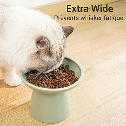 CEEFU Extra Wide Elevated Ceramic Cat Bowl, 6.2" Shallow Dish for Whisker Fatigue Relief, 5" Height for Easy Feeding, Durable Raised 2 Cat Food Bowls, Sage Green - color: Sage Green-2 Food Bowl