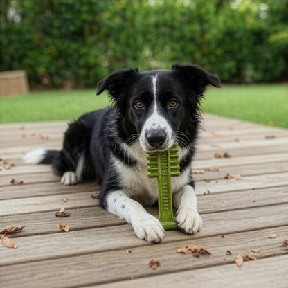 SPOT Bam-Bones Plus Toothbrush Dog Chew Toy for Medium Dogs 30-60 lbs, Bamboo & Nylon Dental Chew with Mint & Baking Soda, T-Bone Shape for Moderate to Heavy Chewers, 6 Inch - size: 6 Inch (Pack of 1)
