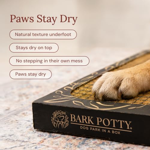 Puppy Bark Potty | Indoor Potty for Puppies & Dogs | Plant-Based Fiber Dog Potty Tray | Stays Dry & Pest-Free | Disposable Litter Box for Dogs | Large 30x20 - size: Large 30x20