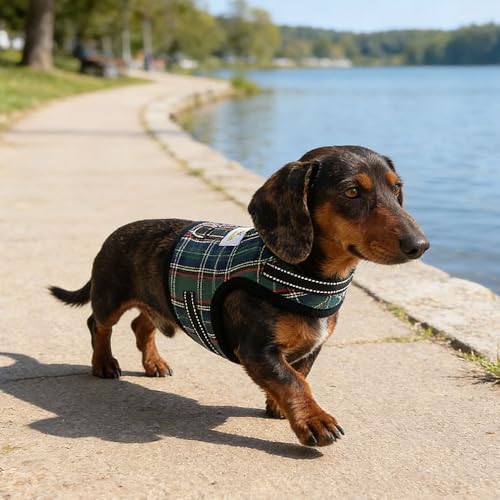 Dachshund Harness no Armpit rub, Christmas Plaid Escape Proof Doxie Harness, Adjustable Step in Dog Harness for mini & Standard Dachshund (Green, XS: Chest 10"-12"/25-31cm) - color: Green, size: XS:Chest 10"-12"/25-31cm