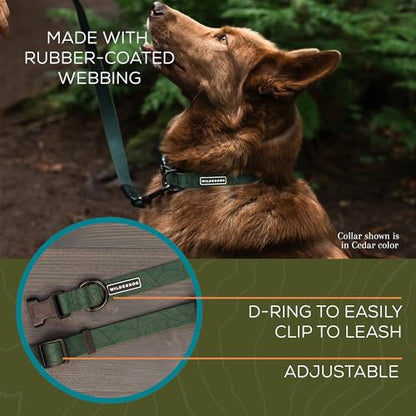 Wilderdog Waterproof Dog Collar - Repels Water & Dirt - Medium 13"-18" - Cedar - color: Cedar, size: Medium