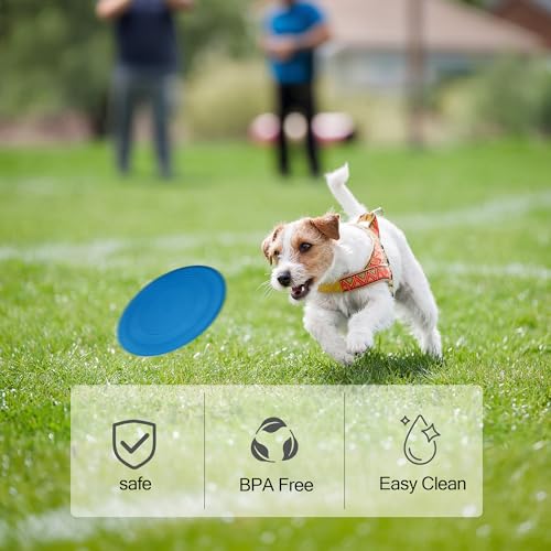 Dog Flying Disc, 2 Pack Dog Frisbee Toy Gift Set for Medium & Large Dogs, Floating Frisbee for Water Pool Beach, Lightweight Soft Frisbee for Fetch, Tug of War, Catch, Play,7 inch（ Green and Blue） - color: Green & Blue