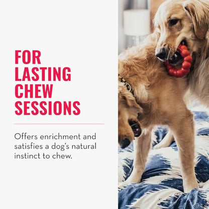 KONG Ring - Natural Rubber Ring Toy for Healthy Chewing Habits - Chew Toy Supports Dog Dental Health - Dog Toy Supports Instincts During Playtime - for Medium/Large Dogs - size: Medium