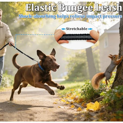 WYuZe 4FT Bungee Dog Leash Shock Absorbing Handle for Small Medium Dogs | Reflective Elastic Nylon Leash Soft Padded Handle, Stretch to 5.5ft, No Tangle for Anti-pull Walking Training, Black - color: Black