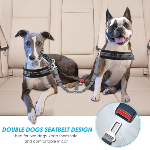 SlowTon Dog Seat Belt, Double Dog Seatbelt Adjustable Vehicle Safety Leash with Elastic Bungee Buffer, Reflective No Tangle Y Shape Two Dog Harness Seat Belt Splitter for Pets Car Trip (Grey, M) - color: G.Grey, size: 2 Medium in 1