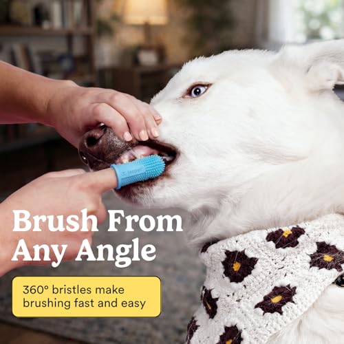 Jasper Dog Toothbrush, 360 Degree Dog Tooth Brushing Kit, Cat Toothbrush, Canine Dental Care & Teeth Cleaning Kit, Pet Finger Tooth Brush, Use with Pet Toothpaste, 4-Pack Blue - color: Blue (4-pack)