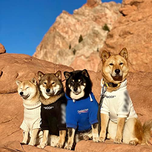 ChoChoCho Stylish Streetwear Blue Dog Sweatshirt Tracksuits, Cats Hoodies, Dog Outfit for Cat Puppy Small Medium (5XL) - color: Pawlenciaga, size: 5XL (Chest: 32.3''-36.6'' / Suggest: 89-139 lbs)