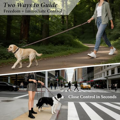 Double Handle Dog Leash 6 FT Reflective 2 Handle Traffic Lead with Padded Grip, Heavy Duty Nylon Leash for Walking Training, for Small Medium Large Dogs, Chocolate - color: Chocolate