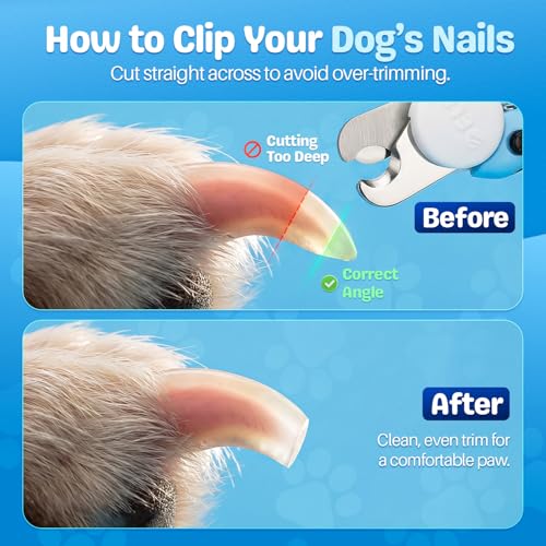 Flexzion Pet Nail Clippers for Dogs & Cats - Stainless Steel Blade Cat Nail Trimmer with Stored Nail File, Safety Guard, Easy Grip Handle - Dog Nail Clippers for Large Dogs, Medium Small Breeds, Blue - color: Blue