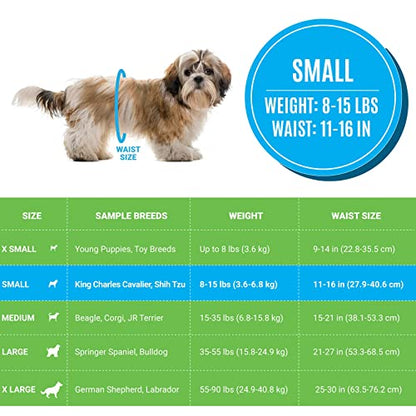 Bodhi Dog Disposable Male Dog Diapers - Super Absorbent, Leak-Proof Pee Wraps - Adjustable Fit, Comfortable Design, Advanced Moisture Control, and Wetness Indicator - Small (20 Count) - size: Small