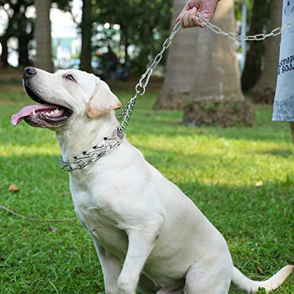 25ft Heavy Duty Dog Tie-Out Chain for Outside - Chew Proof Metal Leash with Strong Hook and Lockable Snap, Outdoor Dog Runner Lead for Small Medium Large Dogs up to 200lbs for Yard