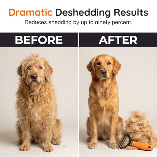 Double-Sided Self-Cleaning Pet Grooming Brush,2026 New Ergonomic Undercoat Rake,Gentle Detangler Brush for Long Thick Pet Hair,Professional Grooming Tool (Orange-10Teeth/19Teeth) - color: Orange-10Teeth/19Teeth