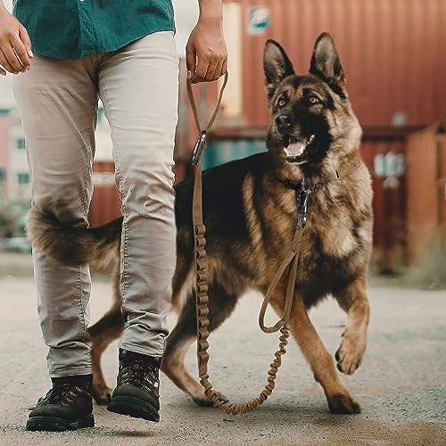 Excellent Elite Spanker Tactical Bungee Dog Leash Military Adjustable Dog Leash Quick Release Elastic Leads Rope with 2 Control Handle(Ranger Green) - color: Ranger Green