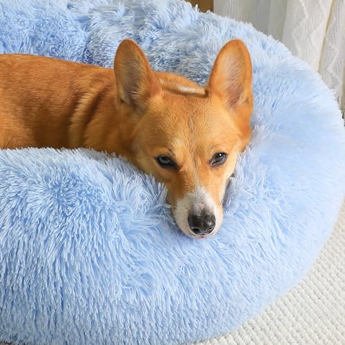 WESTERN HOME WH Calming Dog Bed & Cat Bed, Anti-Anxiety Donut Dog Cuddler Bed, Warming Cozy Soft Dog Round Bed, Dog Cat Cushion Bed for Small Medium Dogs and Cats - color: Light Blue, size: 24.0"l x 24.0"w x 7.0"th