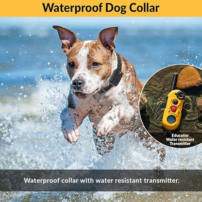 Bundle of Educator EZ 1/2 Mile Dog Training Collar, 1 Dog + Quick Snap Bungee Collar, Biothane, Waterproof, Odorproof, Easy Connect and Disconnect Clasp and D Ring with Comfort Bungee Loop, Black