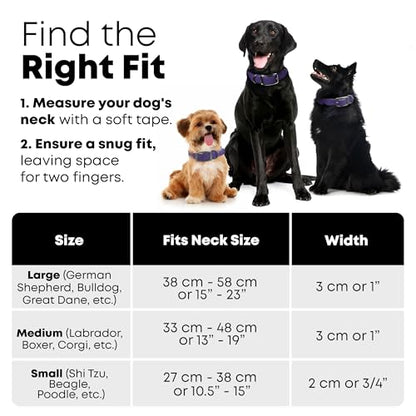 Regal Dog Products Small Purple Dog Collar with Heavy Duty Double Buckle & D Ring | Vinyl Coated, Custom Fit, Adjustable Biothane Dog Collar | Chew Resistant Waterproof Center-Ring Collar for Dogs - color: Purple, size: Small