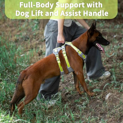 Huntboo Reflective Dog Harness with Handle, Escape Proof, No Slip, Breathable, Lightweight, Adjustable Lift Harness for Small, Medium, and Large Dogs Walking, Training,and Running Gear(Bright Green,M) - color: Bright Green, size: Medium (Pack of 1)