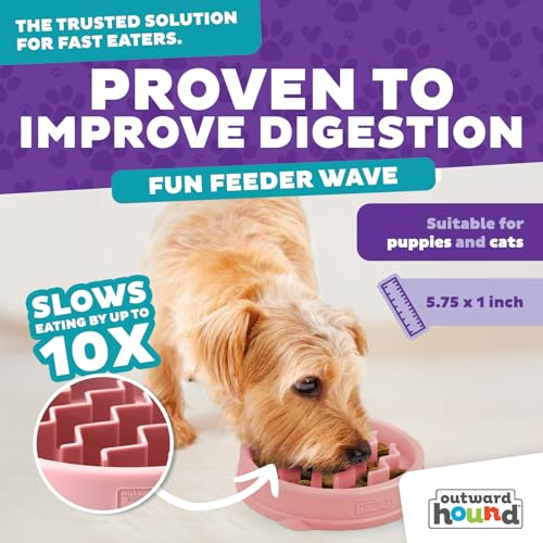 Outward Hound Fun Feeder Slo Bowl – Small 3/4-Cup Capacity,Slow Feeding,Small Dogs,Puppies & Cats,Non-Slip,Pink,Wave Pattern,(Pack of 12) - color: Pink, size: Small (Pack of 12)