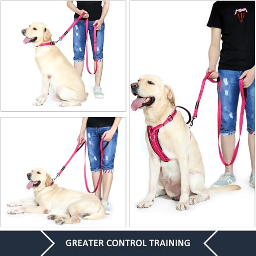 Plutus Pet Double Handle Dog Leash 6ft Long, Padded 2 Handle, Heavy Duty, Reflective Training Leash for Medium Large Dogs, Dual Handle Lead (Pink) - color: Pink, size: 6 FT