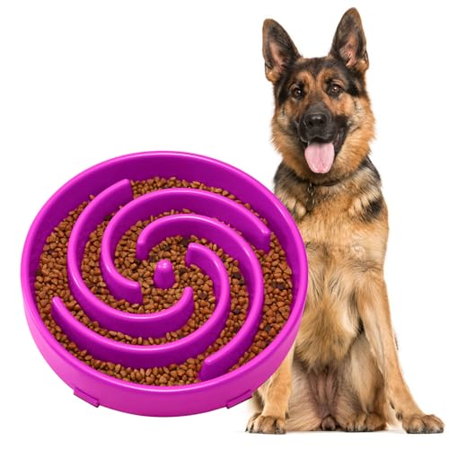 JASGOOD Slow Feeder Dogs Bowl for Large Medium Dogs,Anti-Gulping Pet Slower Food Feeding Bowls Stop Bloat,Preventing Choking - color: F-Purple