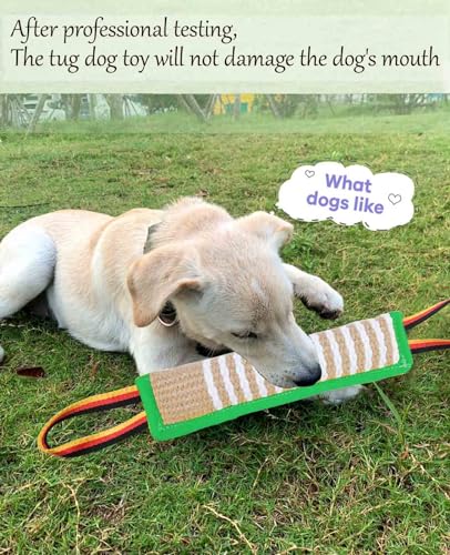 Clysoru Dog Tug Toy Tough Jute Bite Pillow Lasting Training Equipment Puppy to Large Dogs Interactive for Large and Small - color: flag green