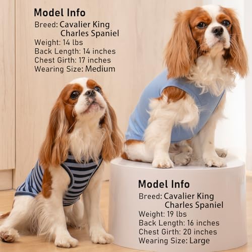 KYEESE 2Pack Dog Shirt, Soft Striped Dogs T Shirts, Lightweight Doggie Tank Top Cat Clothes, Sleeveless Dog Shirt for Small Dogs, Stretchy Pet Vest, Dark Blue, Medium - color: 02# 2Pack (Dark Blue+Striped), size: Medium (7-13lbs)