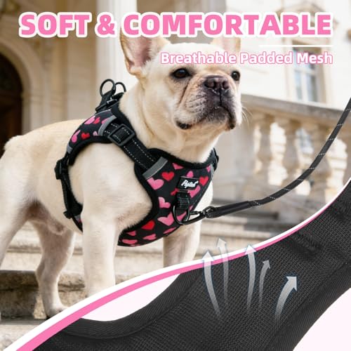 PUPTECK Dog Harness Small Sized Dog, Step in Adjustable Reflective Dog Vest Harness Escape Proof, No Pull Soft Padded Harness Easy Control, Heart, S - color: Black(Heart), size: S (CHEST: 13"-18")