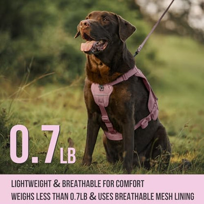 OneTigris Sentinel Pink Service Dog Vest with Patches, Reflective Lightweight Dog Harness for Medium Large Dogs (Pink, M: Neck 16-23", Chest 24-32") - color: Pink, size: M: Neck 16-23", Chest 24-32"