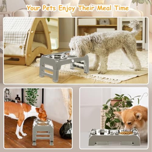 Elevated Dog Bowls 3 Height Adjustable Raised Bowl Stand with 25oz Stainless Steel Dog Food Bowls Anti-Slip for Small Dogs Adjusts to 7.5", 6", 2.75", Grey - color: Grey, size: Small dogs