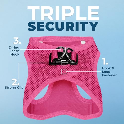 Best Pet Supplies Voyager Step-in Air Harness - All Weather Mesh, Reflective, No Pull Harness for Dogs, Cats - Secure with Hook & Loop Fastener, Buckle, Double D-Rings - Fuchsia, M - color: Harness (Fuchsia), size: M (Chest: 16 - 18")