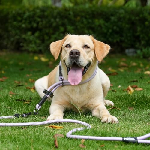 Rope Dog Leash, 4 ft Heavy Duty Dog Leash with Aviation Aluminum Auto Locking Carabiner, Strong Nylon Pet Lead for Small, Medium, Large Dogs (Blue, 4FT) - color: Blue, size: 4 Foot Single Handle