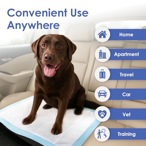 American Kennel Club Scented Puppy Training Pads with Ultra Absorbent Quick Dry Gel – 28 x 30 Pee Pads for Dogs - Fresh Scented - 50 Count, XL (Pack of 2) - size: 28 x 30 - 50 Count (Pack of 2)