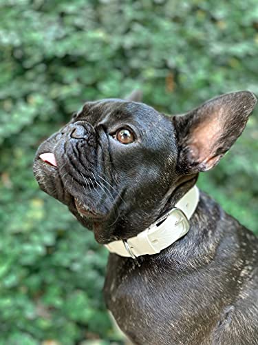 Tuff Pupper Classic Heavy Duty Dog Collar | 10x Stronger Than Leather | 100% Waterproof & Odor Proof Dog Collar | Tough Rust-Proof All Metal Hardware - color: Snow White