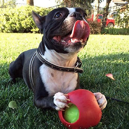 Jolly Pets Teaser Ball Dog Toy, Small/4.5 Inches, Red (1504 RD) - color: Red, size: Small (4.5 in)