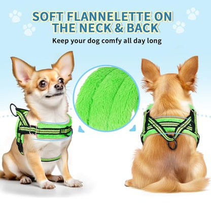 Lukovee No Pull Dog Harness and Leash Set, Soft Padded Small Dog Harness, Neck & Chest Adjustable Reflective Vest Puppy Harness with 4ft Lightweight Anti-Twist Dog Leash for Small Dogs (S, Green) - color: Green - with Stripe, size: S ( Chest 17.5'' ~ 22''