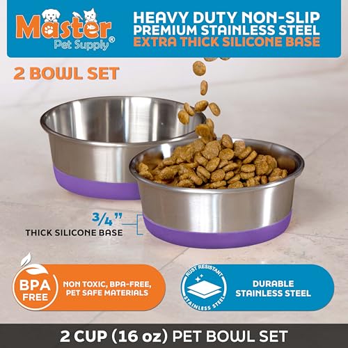 Master Pet Supply Stainless Steel Dog Bowls Set of 2 with Extra Thick Silicone Base - 2 Cup (16 oz) Plum Crazy, Non-Slip, Dishwasher Safe Metal Bowls, Pet Dog Food Bowl for Dogs, Cats, Anti Rust - color: Plum Crazy, size: 2 Cups (16 oz) 2 Pack