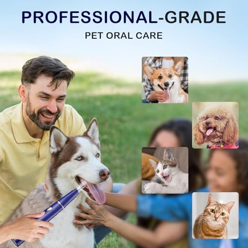 Plaque Remover for Teeth, Pet Ultrasonic Cleaner, Dog Plaque and Tartar Remover with LED Light, Dog Teeth Cleaning Dental Care Kit for Tartar and Stains, Suitable for Dogs and Cats (Blue) - color: Blue