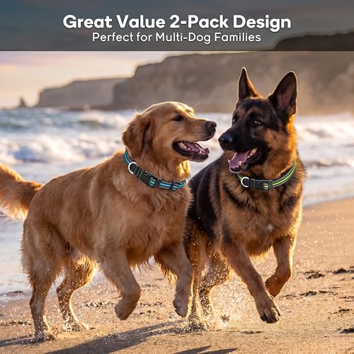 NOVKIN 2-Pack Reflective Dog Collar, Heavy Duty Nylon Pet Collars,Rust-Proof 304 Stainless Steel D-Ring, Break-Proof Buckle, High Visibility Adjustable Collar for M/L Dogs (Blue&Green, L) - color: Blue&Green, size: L