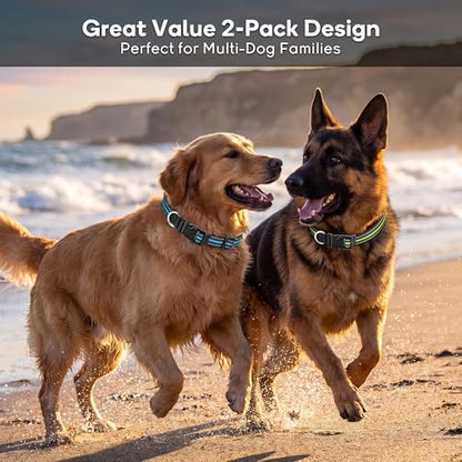 NOVKIN 2-Pack Reflective Dog Collar, Heavy Duty Nylon Pet Collars,Rust-Proof 304 Stainless Steel D-Ring, Break-Proof Buckle, High Visibility Adjustable Collar for M/L Dogs (Blue&Green, L) - color: Blue&Green, size: L