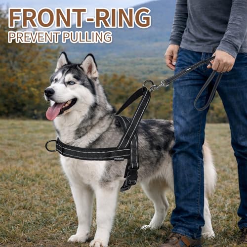 No Pull Dog Harness and Leash Set-Reflective Vest with Handle&5FT Dog Leash with Car Seatbelt Clip,Breathable Mesh&Quick Fit Dog Harness Easy for Medium Large Dogs Training Walking(Black,M) - color: Reflective-Black, size: M:Belly Chest-22.4''-27.6''