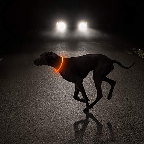 HIGO Light Up Dog Collar USB Rechargeable LED Dog Collar Glow in The Dark, TPU Flash Dog Necklace Light Make Your Dogs Be Visible& Safe (Orange) - color: Orange