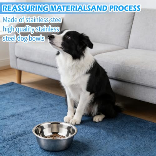 Stainless Steel Dog Bowls 2-Pack 6 Cup / 50 oz | Metal Pet Food and Water Bowls for Small to Medium Dogs, Non-Slip Dishwasher Dog Dishes with Rubber Pads