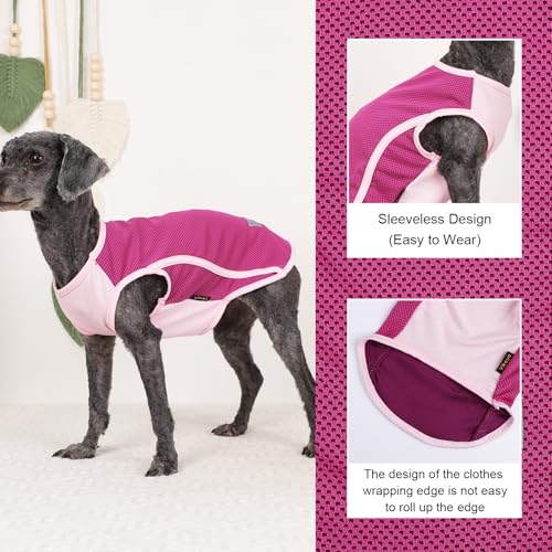 2 Pack Dog Clothes,Dog Shirts for Small Dogs,Quick Dry Dog Vest Boy Girl Summer, Puppy T-Shirt with Reflective Strip,Sun Protection Sleeveless Cool Breathable Pet Apparel(Turquoise and Pink, XS) - color: Turquoise and Pink, size: X-Small (Chest 12.2 in)