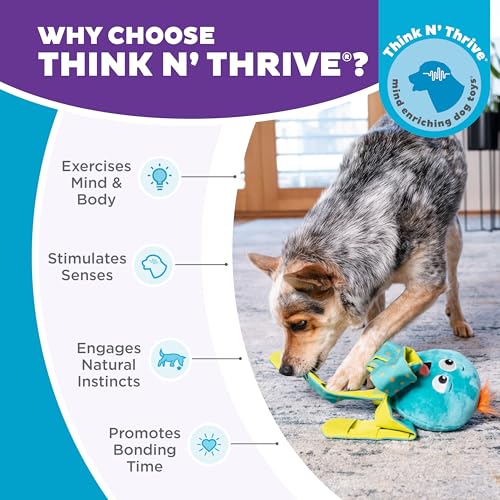 Outward Hound by Nina Ottosson Silly Legz Interactive Plush Dog Puzzle, Dog Enrichment Toys, Plush, Floppy, Long, Octopus, Blue - color: Silly Legz Octopus