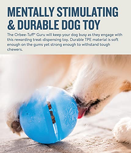 Outward Hound Guru Treat-Dispensing Puzzle Ball Dog Toy, Blue - color: Blue