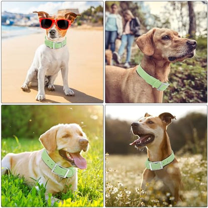 Wisedog Small Puppy Collar, Sage Green, XS 7"-10" × 1/2" | Soft Rubber Coated Webbing, Cute Pet Design, For Small Dogs & Cats - color: Sage Green
