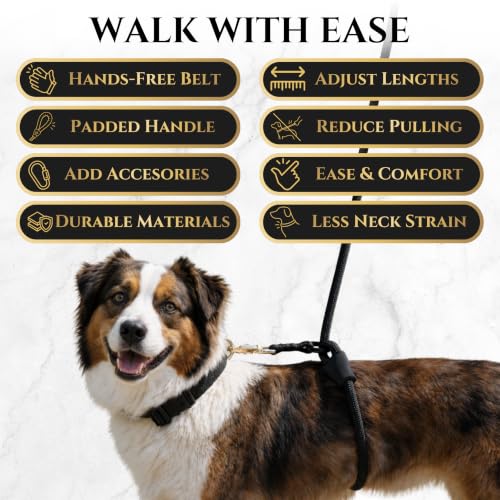 Hands-Free No-Pull Dog Leash | Durable Adjustable Training Lead for Dogs | Calm Command Outdoor Activity Leash for Active Pet Lifestyle Breeds | Ergonomic Handle - Large (60+ lbs) - size: Large
