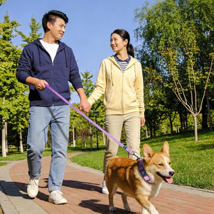 Roses&Poetry Small Dog Collar and Leash Set, Puppy Reflective Leashes with Collars, Adjustable Durable Matching Collar Leash for Small Dogs Girl (Lightpurple-S) - color: LightPurple, size: S