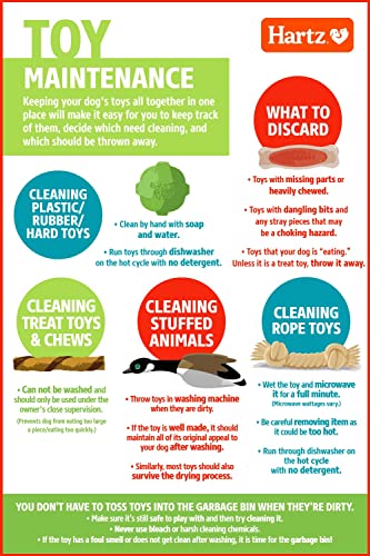 Hartz Dura Play Bacon Scented Squeak Ball Dog Toy for Small Breeds, 36 Pack - size: 3 Count (Pack of 12), style: Small Ball